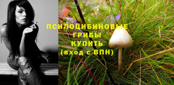 тгк Баксан
