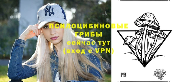 тгк Баксан