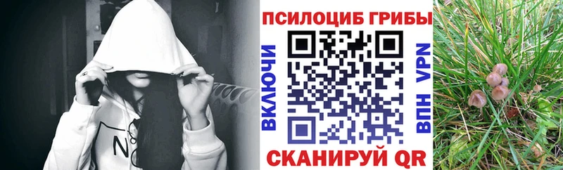 Галлюциногенные грибы Psilocybine cubensis Валдай