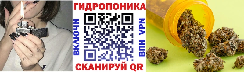 продажа наркотиков  Валдай  Каннабис Bruce Banner 